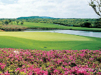 ☞ 라온 + 아덴힐 (4인) 바로가기